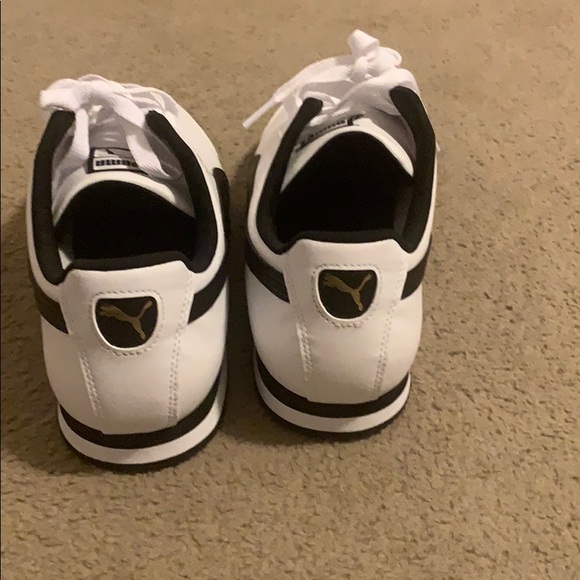 Puma - Picture 2 of 3